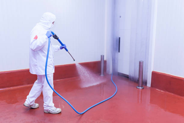 Best Roof Washing  in New City, NY